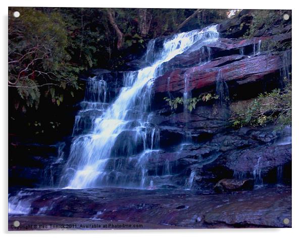 Somersby Falls Acrylic by Bec Trinick