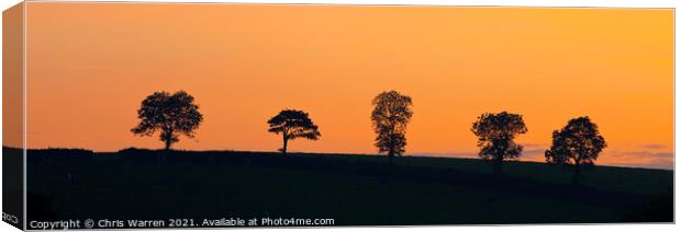 Five single trees at sunset on a hillside Canvas Print by Chris Warren