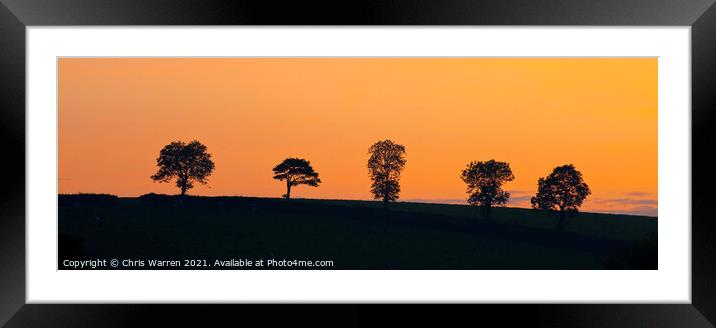 Five single trees at sunset on a hillside Framed Mounted Print by Chris Warren