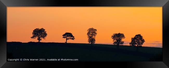 Five single trees at sunset on a hillside Framed Print by Chris Warren