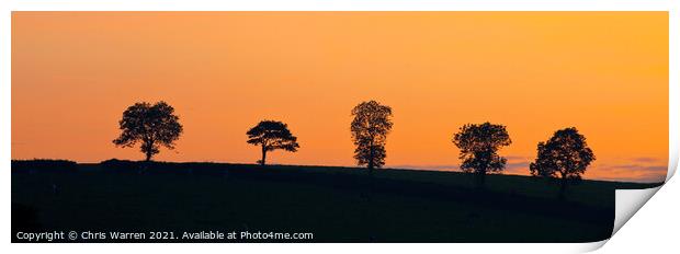Five single trees at sunset on a hillside Print by Chris Warren