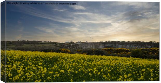 Cornish Rapeseed field, in full bloom Sunset Canvas Print by kathy white