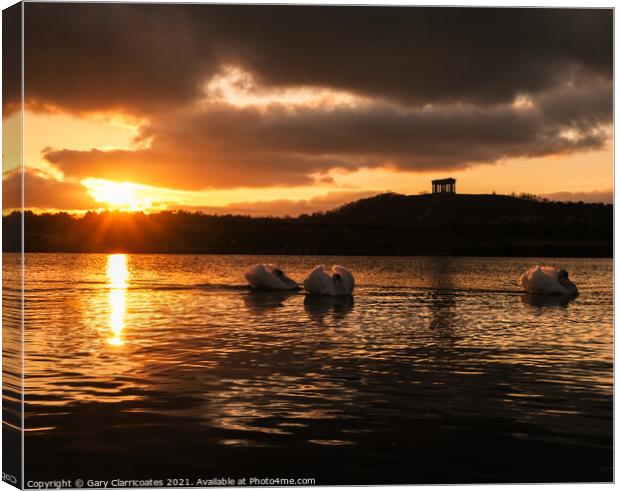 Swans at Sunset Canvas Print by Gary Clarricoates