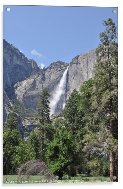 Upper Yosemite Falls Acrylic by Sam Robinson
