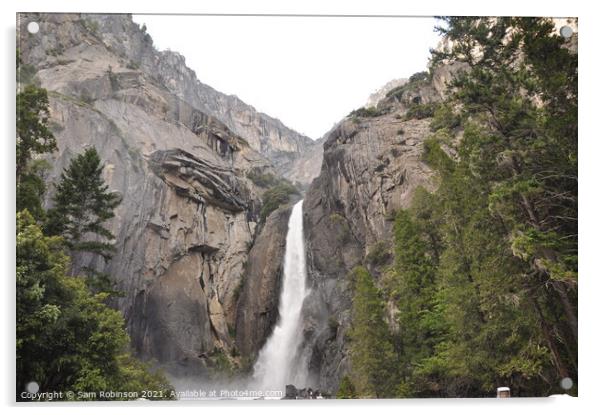 Lower Yosemite Falls Acrylic by Sam Robinson