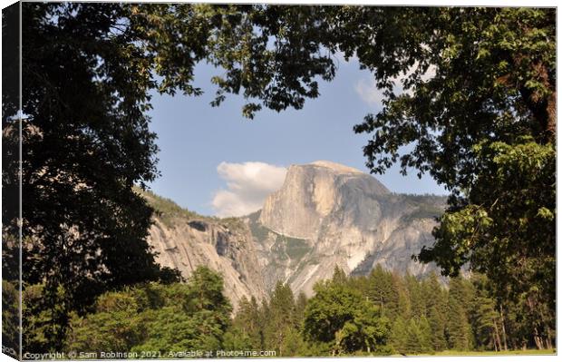 Half Dome in Natural Tree Frame Canvas Print by Sam Robinson