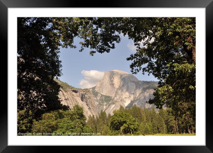 Half Dome in Natural Tree Frame Framed Mounted Print by Sam Robinson