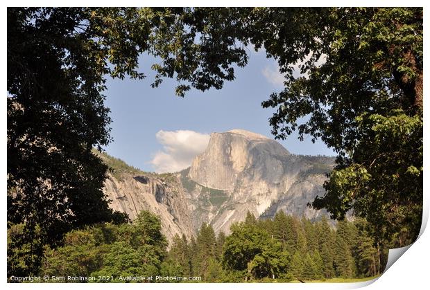 Half Dome in Natural Tree Frame Print by Sam Robinson