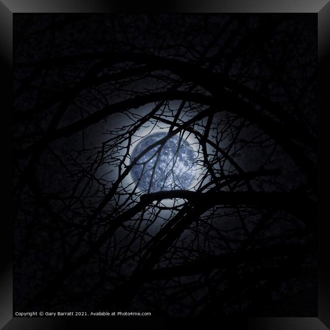 Blue Moonglow. Framed Print by Gary Barratt