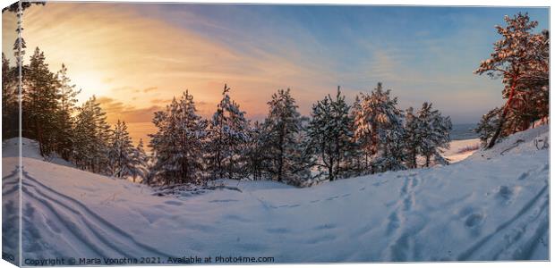 Sunset over frozen snowy forest Canvas Print by Maria Vonotna