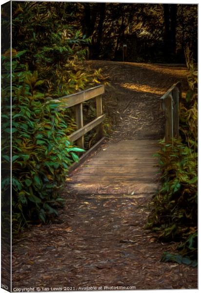 A Wooden Footbridge In The Woods Canvas Print by Ian Lewis
