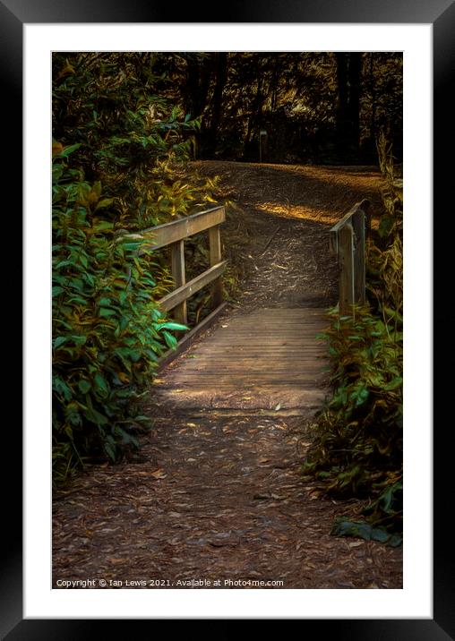 A Wooden Footbridge In The Woods Framed Mounted Print by Ian Lewis
