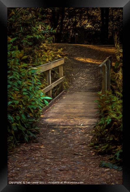 A Wooden Footbridge In The Woods Framed Print by Ian Lewis
