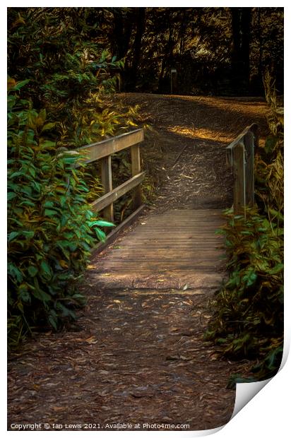 A Wooden Footbridge In The Woods Print by Ian Lewis