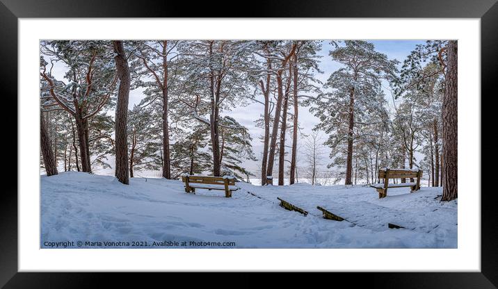 Two benches under trees in snowy forest Framed Mounted Print by Maria Vonotna