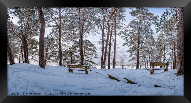 Two benches under trees in snowy forest Framed Print by Maria Vonotna