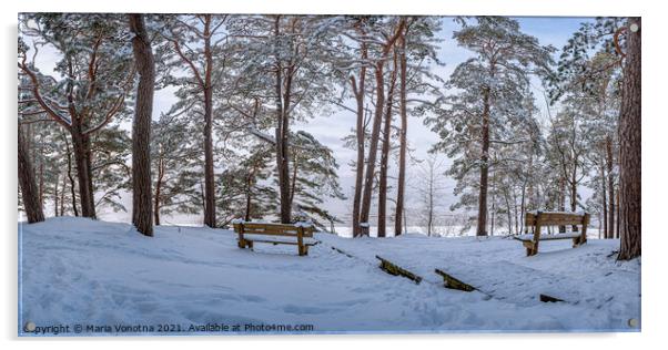 Two benches under trees in snowy forest Acrylic by Maria Vonotna