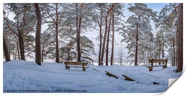 Two benches under trees in snowy forest Print by Maria Vonotna