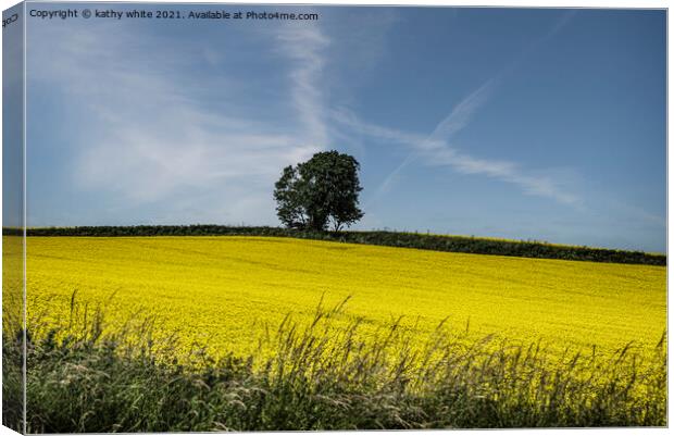 Rapeseed field with a Lone tree  Canvas Print by kathy white