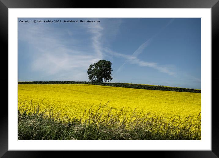 Rapeseed field with a Lone tree  Framed Mounted Print by kathy white