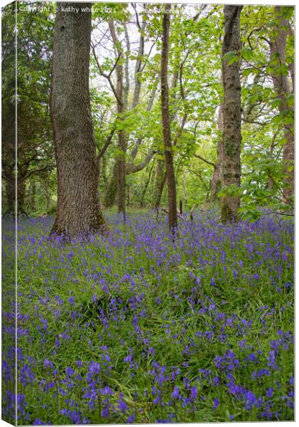 English Bluebell Wood, Cornwall,Bluebells in the W Canvas Print by kathy white