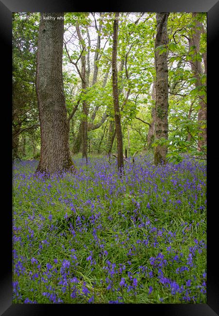 English Bluebell Wood, Cornwall,Bluebells in the W Framed Print by kathy white