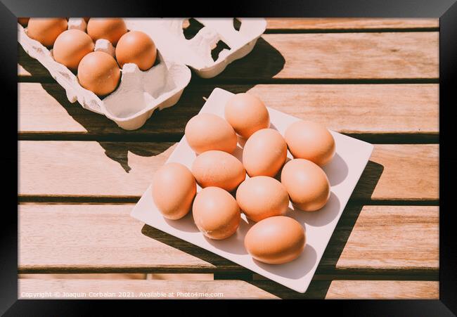 Brown eggs in a cardboard box bought from a local organic superm Framed Print by Joaquin Corbalan