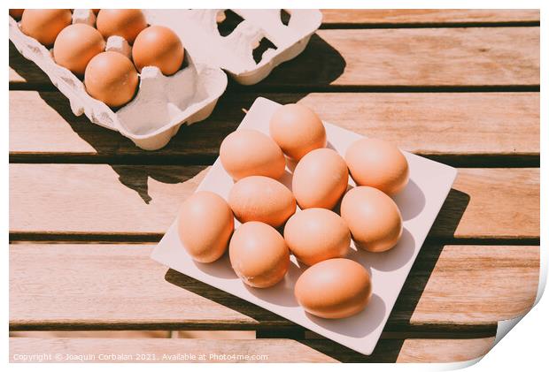 Brown eggs in a cardboard box bought from a local organic superm Print by Joaquin Corbalan