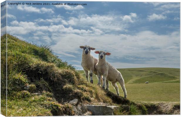 Two Curious Lambs at Dunraven Bay  Canvas Print by Nick Jenkins