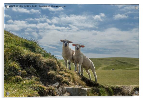 Two Curious Lambs at Dunraven Bay  Acrylic by Nick Jenkins