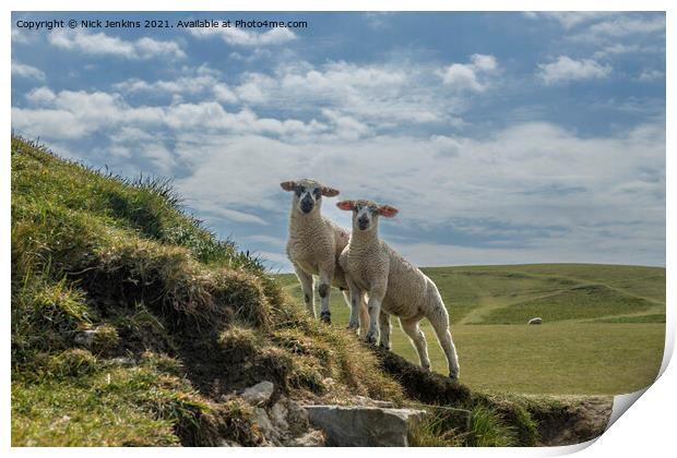 Two Curious Lambs at Dunraven Bay  Print by Nick Jenkins