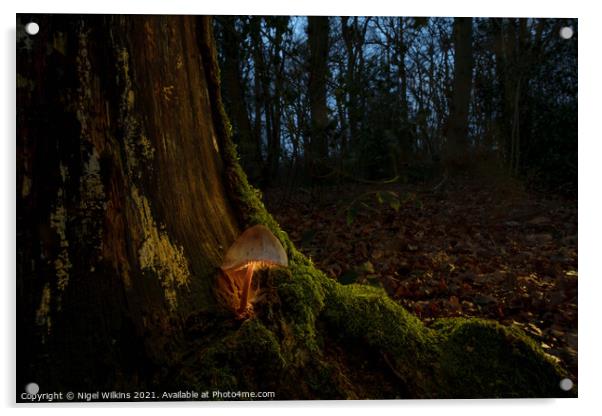 Glowing Mushroom Acrylic by Nigel Wilkins