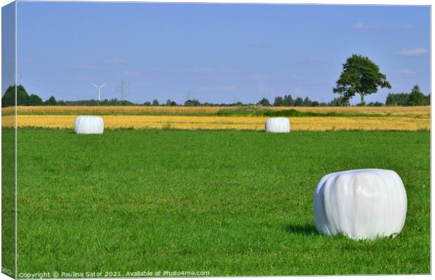 Wrapped hay bales stacked Canvas Print by Paulina Sator