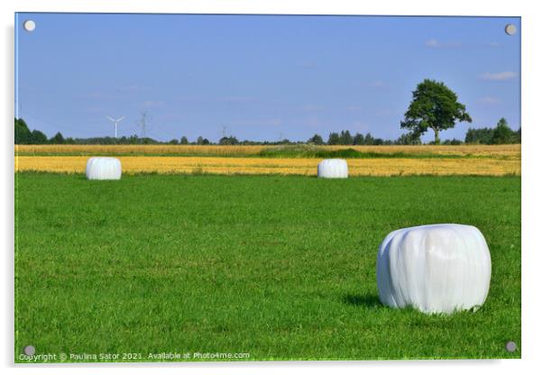 Wrapped hay bales stacked Acrylic by Paulina Sator