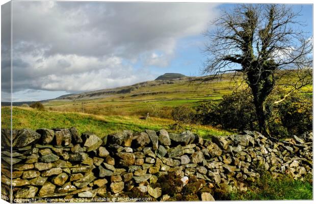 Yorkshire Dales Landscape  Canvas Print by Diana Mower