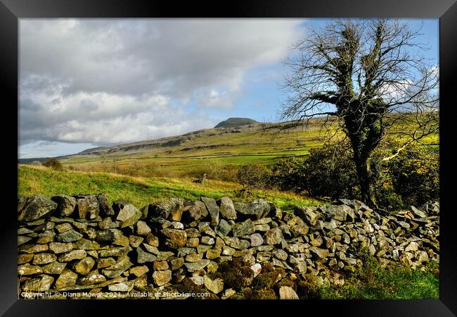 Yorkshire Dales Landscape  Framed Print by Diana Mower