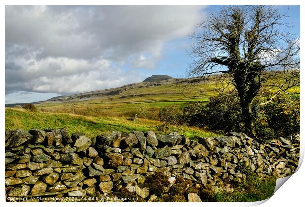 Yorkshire Dales Landscape  Print by Diana Mower