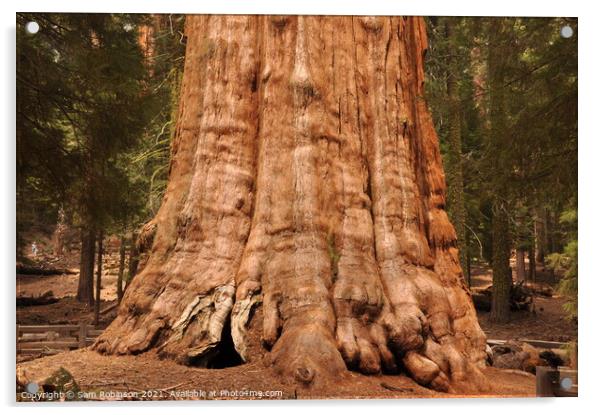 Base of Giant Sequoia Acrylic by Sam Robinson