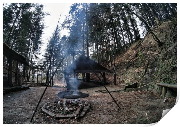 South Poland: Barbecue location in the middle of the forest surrounded with tall trees. Wilderness wide angle view of smoke coming from fire against abandoned shed in the peaceful environment Print by Arpan Bhatia
