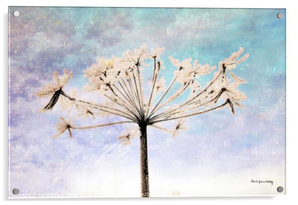 Winter Palm Acrylic by Randi Grace Nilsberg