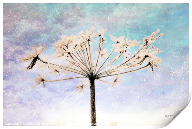 Winter Palm Print by Randi Grace Nilsberg