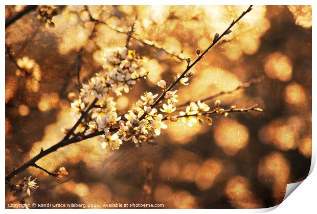 Glorious Blossom Print by Randi Grace Nilsberg