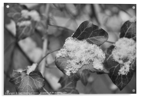 Black and White Ivy with Snow Acrylic by Sam Robinson