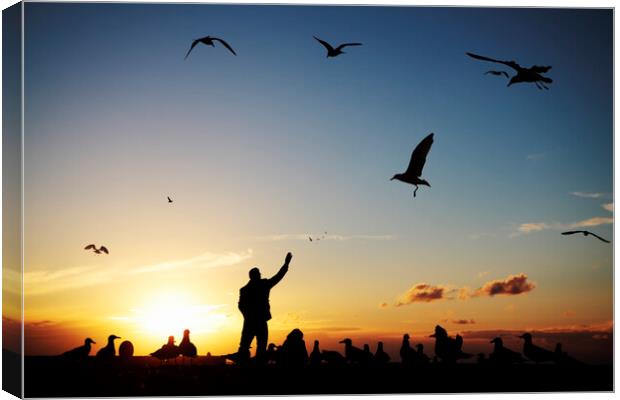 Man feeding seagulls on Brighton Beach Canvas Print by Neil Overy