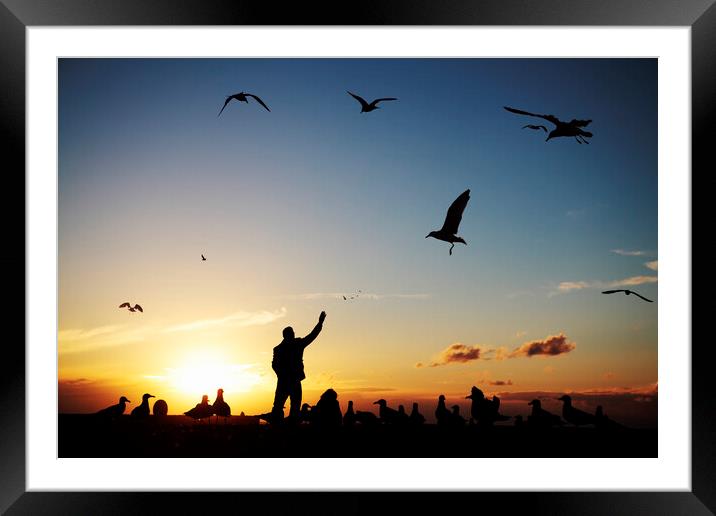 Man feeding seagulls on Brighton Beach Framed Mounted Print by Neil Overy