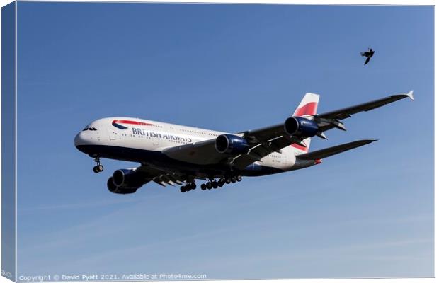Airbus A380 And Magpie Canvas Print by David Pyatt