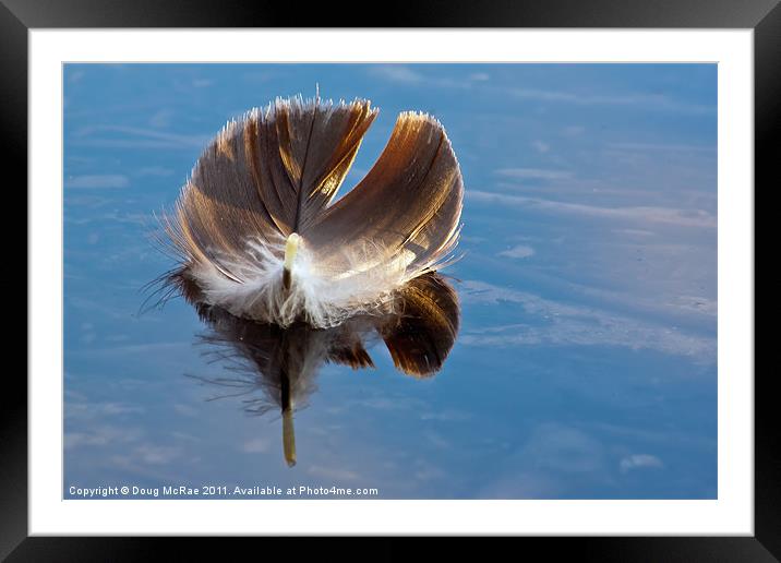 Feather Framed Mounted Print by Doug McRae