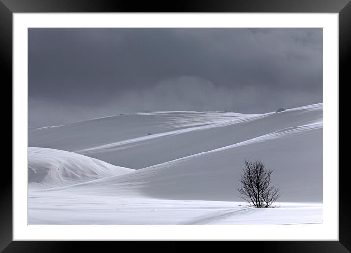 Desolate Tree in the Snow in Winter Framed Mounted Print by Arterra 