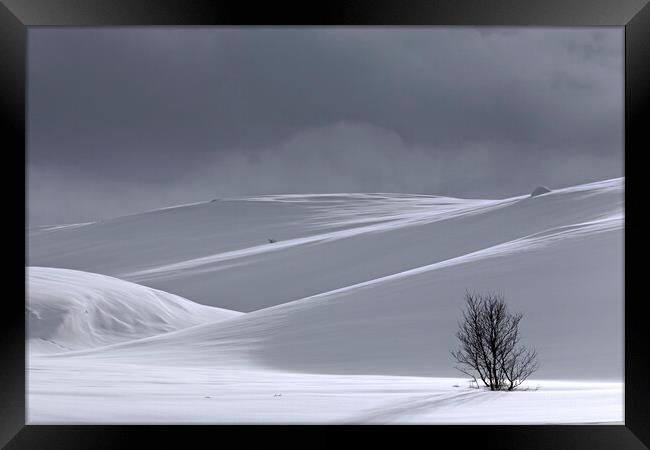 Desolate Tree in the Snow in Winter Framed Print by Arterra 