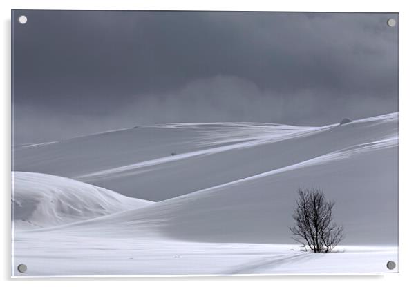 Desolate Tree in the Snow in Winter Acrylic by Arterra 